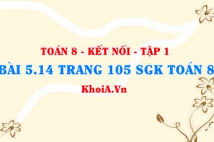 Bài 5.14 trang 105 SGK Toán 8 tập 1 Kết nối tri thức